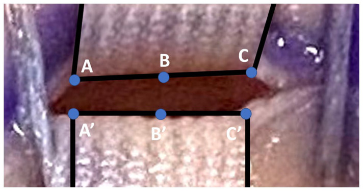 Figure 2.