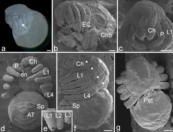 Figure 18