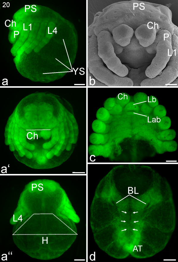 Figure 16