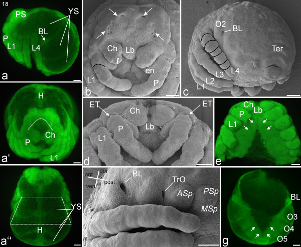 Figure 14