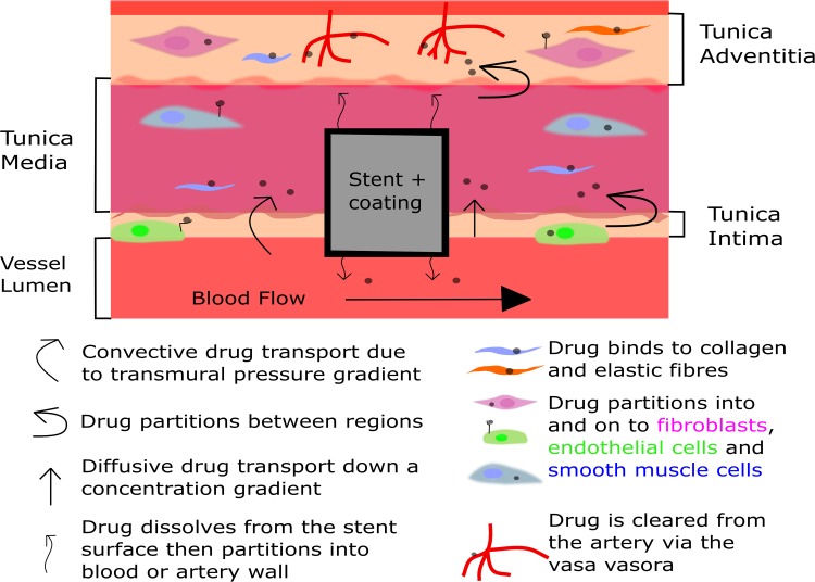 Figure 1