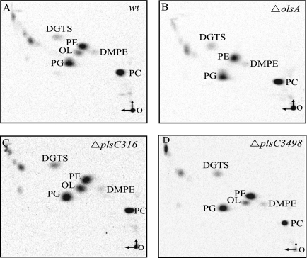 FIG. 4.