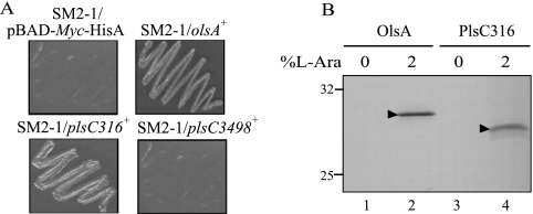 FIG. 5.