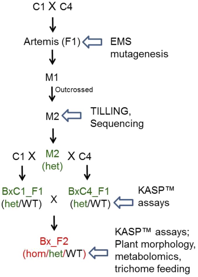 Fig. S3.