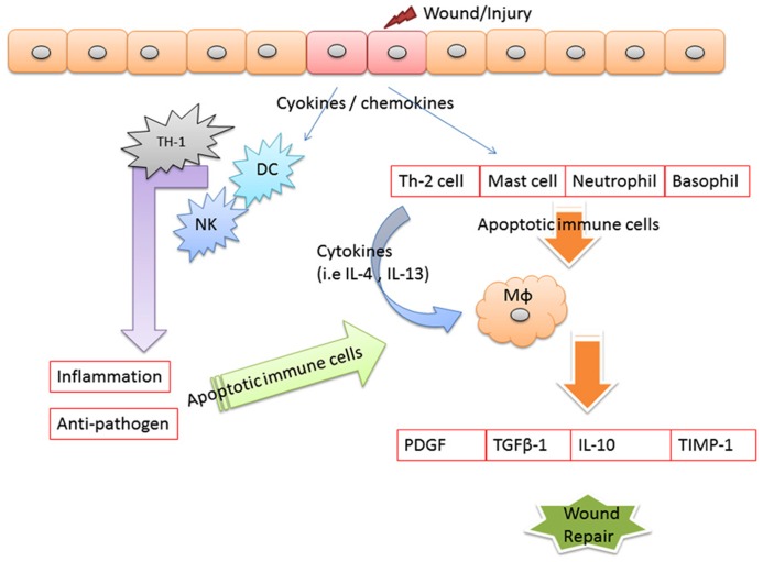 FIGURE 2