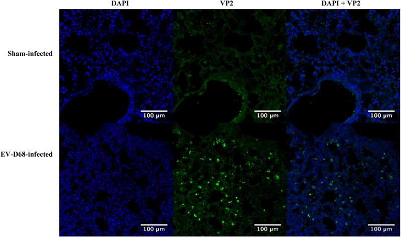 Figure 6: