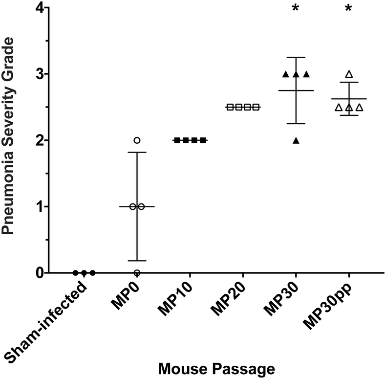 Figure 3: