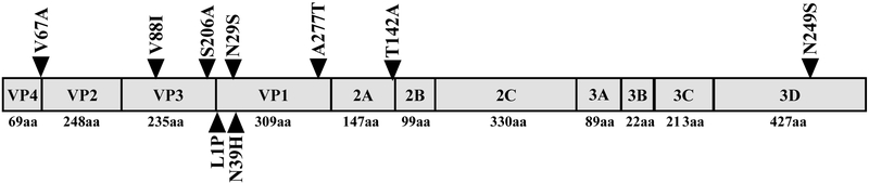 Figure 8: