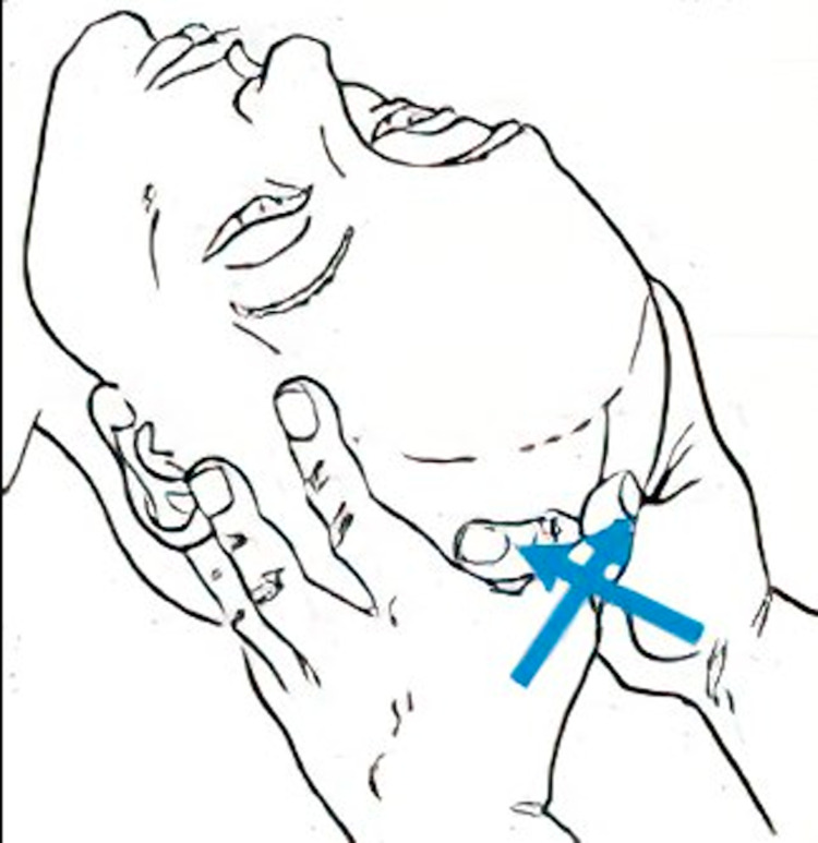 Figure 8