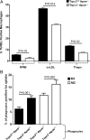 Figure 5