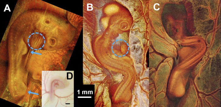 Fig. 3.