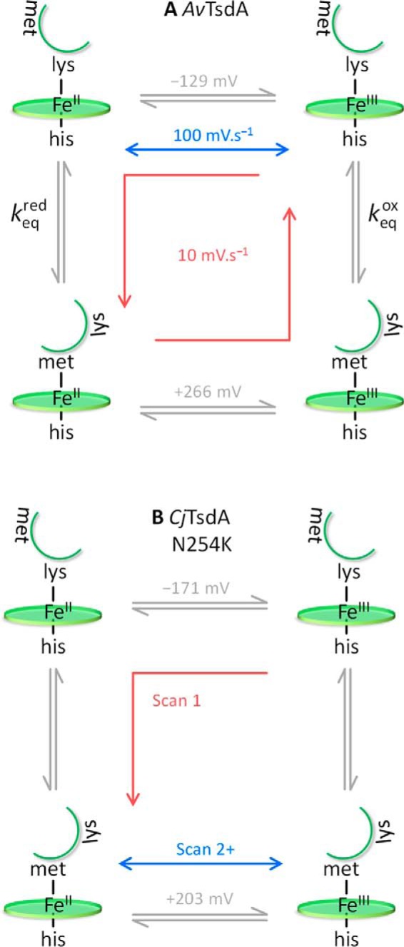 Scheme 1.