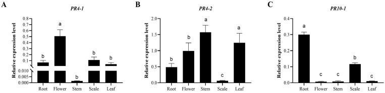 Figure 5