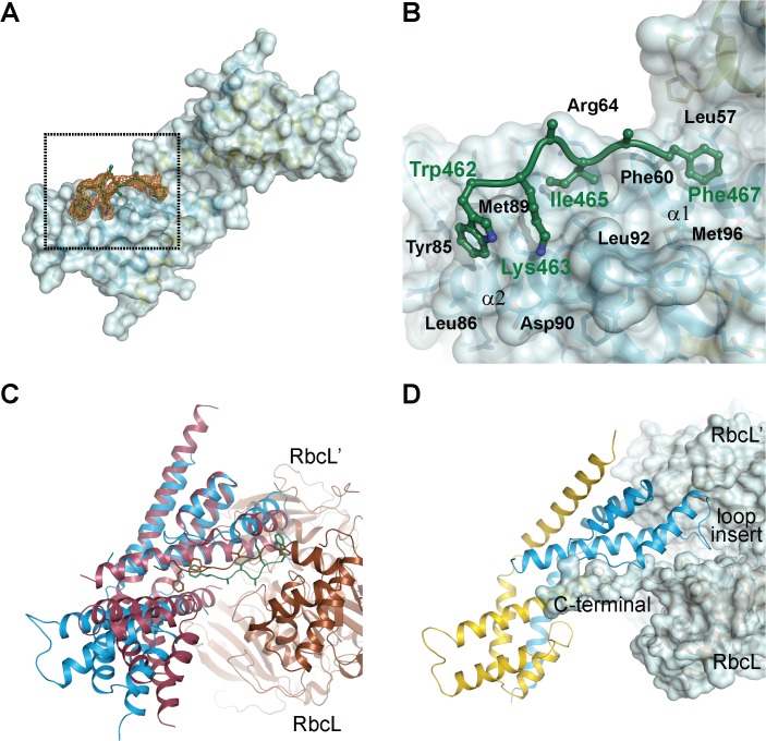 Fig 6