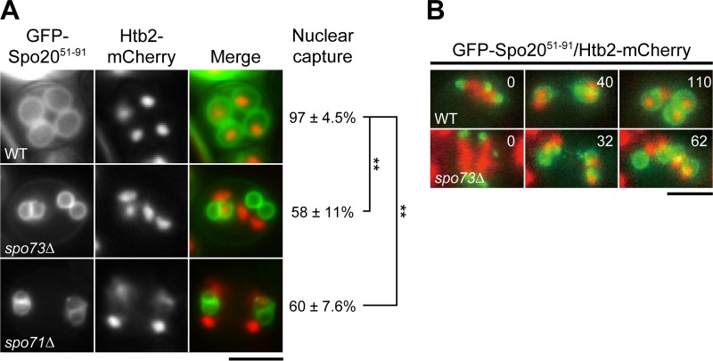 FIG 2