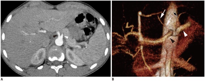 Fig. 8