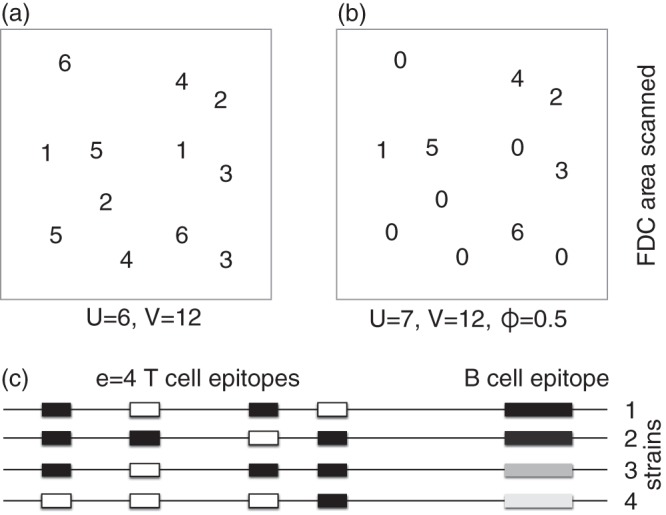 FIG 1