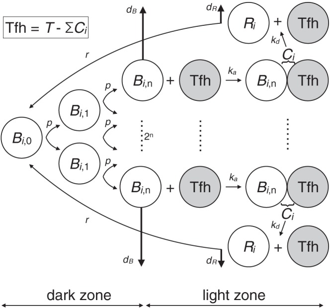 FIG 2