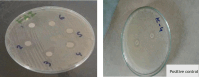 Fig. 16