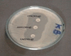 Fig. 10