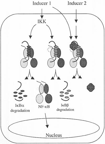 FIG. 7.