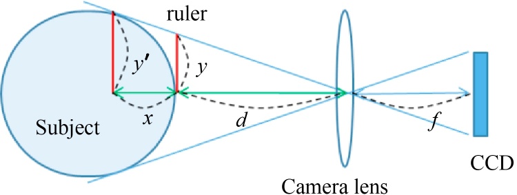 Fig. 2