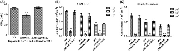 Fig. 6