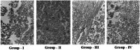 Fig. 12