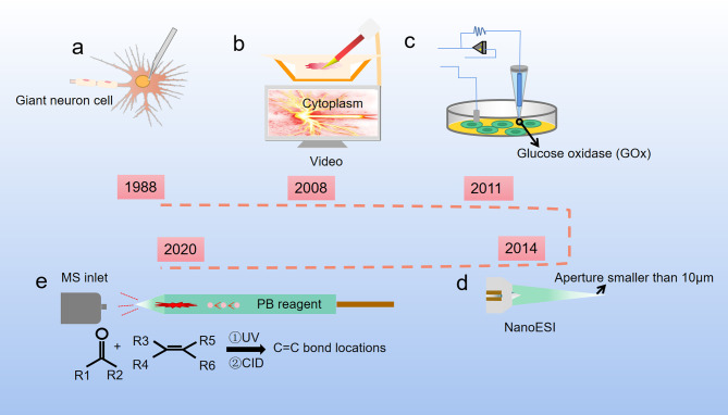 Figure 2