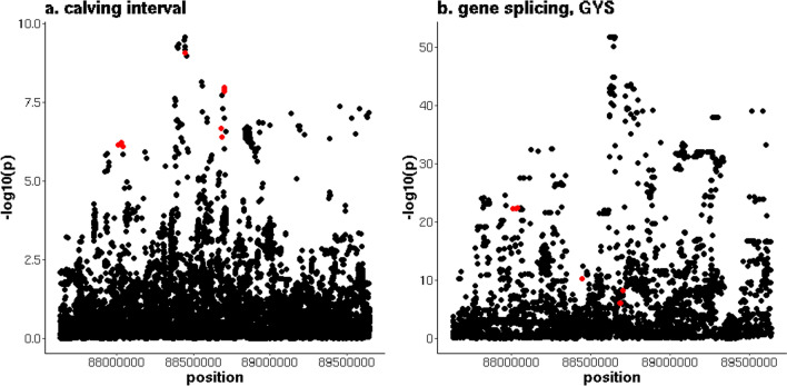 Fig. 4