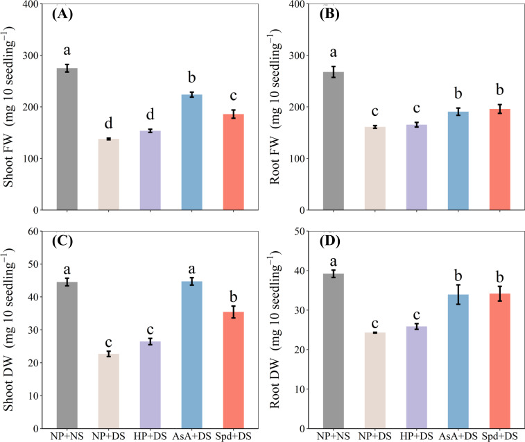 Figure 2