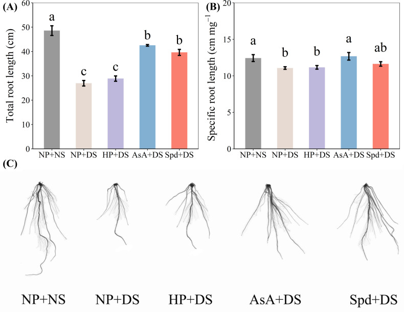 Figure 3