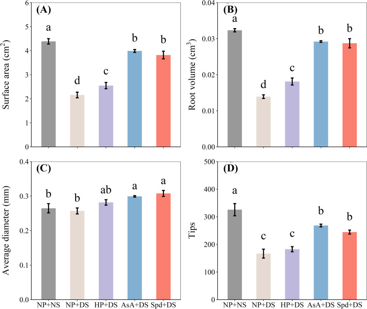 Figure 4