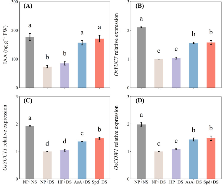 Figure 10