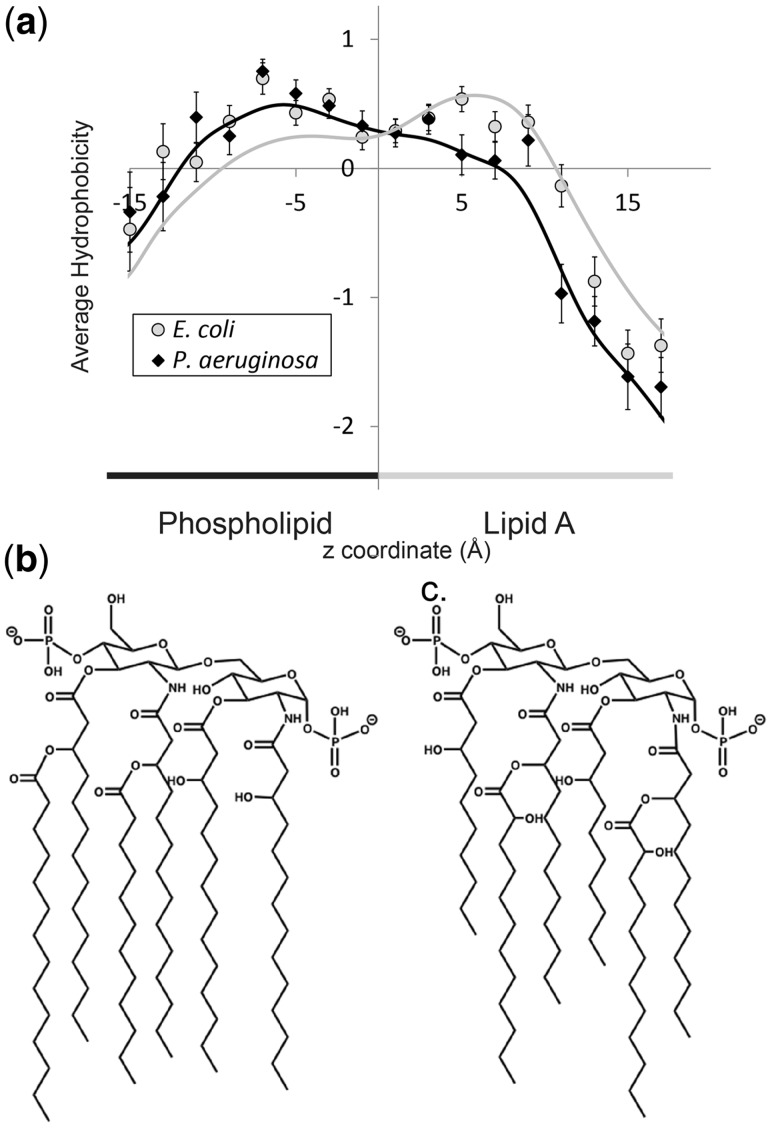 Fig. 4.