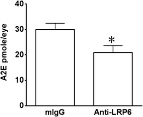 Fig. 7