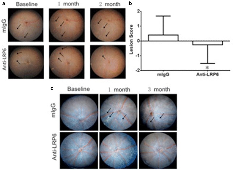 Fig. 4