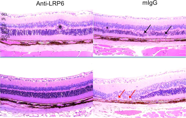 Fig. 6