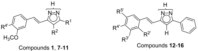 graphic file with name molecules-20-15643-i002.jpg