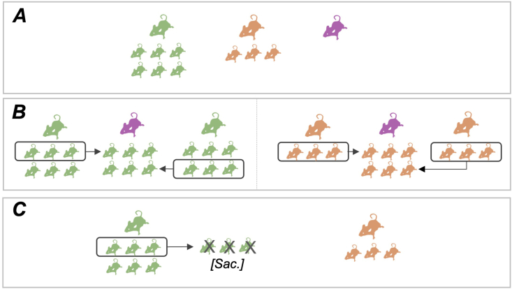 Figure 2