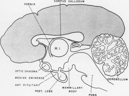 Fig. 12A.