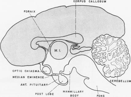 Fig. 12B.