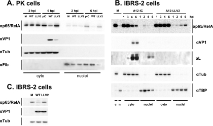 FIG. 6.