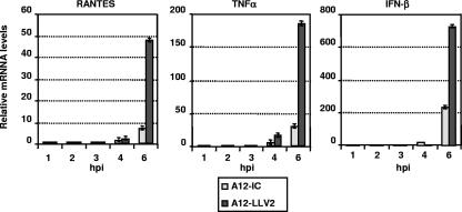 FIG. 2.