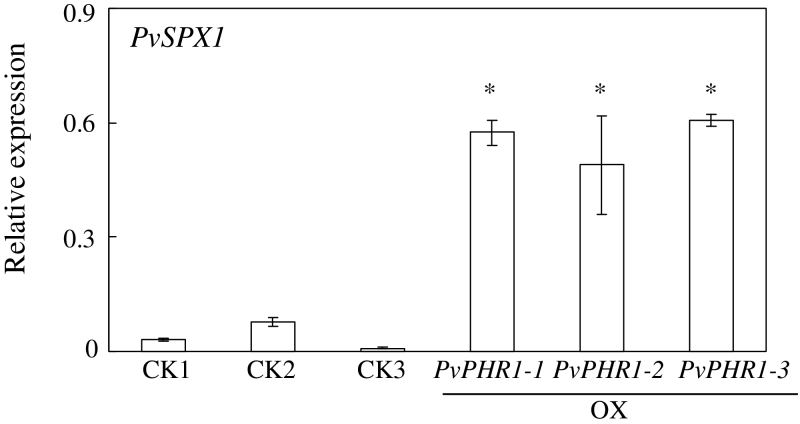 Fig. 8.