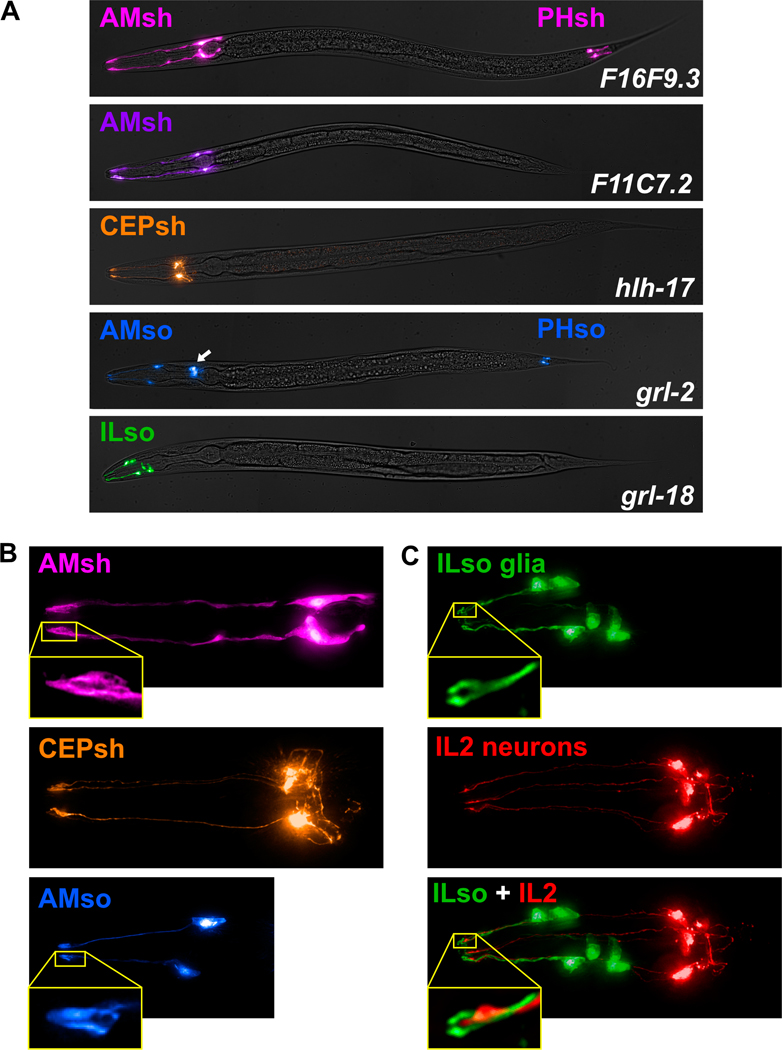 Fig. 2.