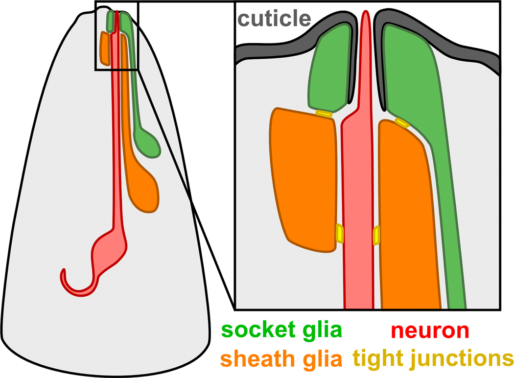 Fig. 1.