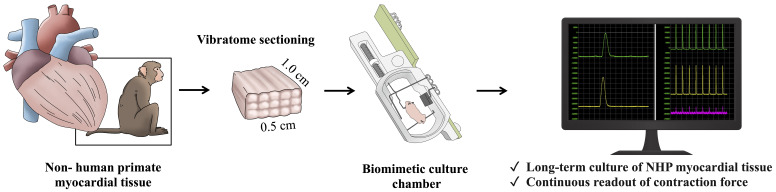 graphic file with name BioProtoc-13-13-4750-ga001.jpg