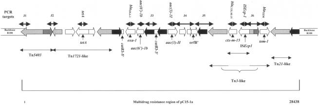 FIG. 1.