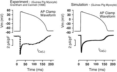 FIGURE 8